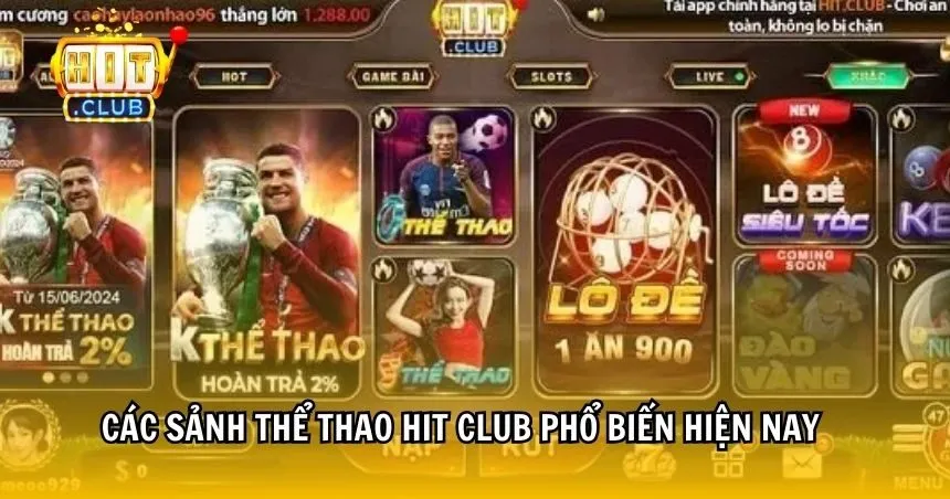 Các sảnh thể thao HIT CLUB phổ biến hiện nay