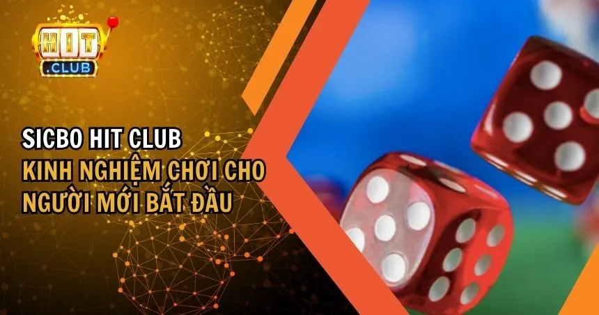 Sicbo HIT CLUB Và Hướng Dẫn Chơi Cho Người Mới